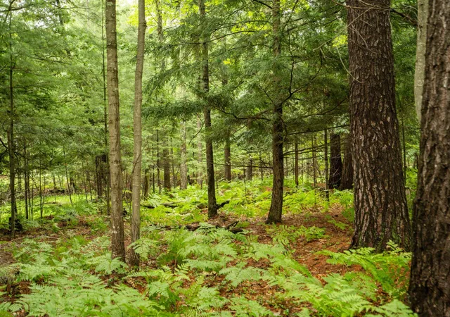 Photo 4 of Land for sale at 00 Business Park Dr, Traverse City, MI 49686 | MLS# 80065506 | Listing updated on 2026-07-24