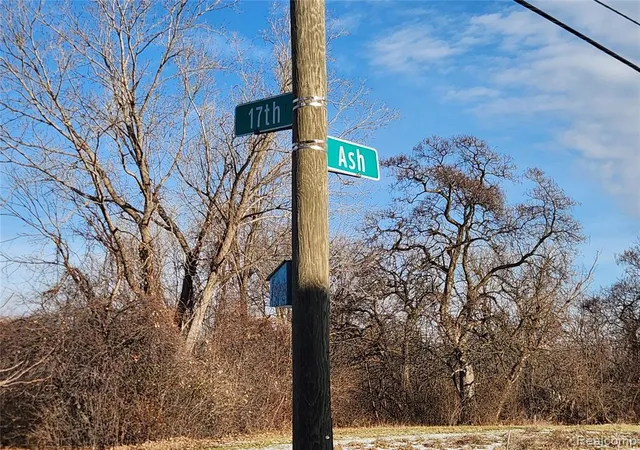 Photo 11 of Single family home for sale at 2511 Ash St, Detroit, MI 48208 | MLS# 60962187 | Listing updated on 2026-04-16