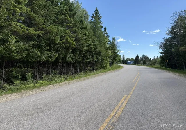 2nd image of N Of 6414 H33 Rd, Gould City, MI 49838 | MLS# 50211758