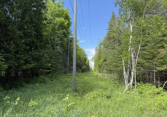3rd image of N Of 6414 H33 Rd, Gould City, MI 49838 | MLS# 50211758