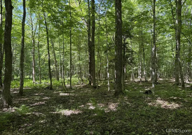 4th image of N Of 6414 H33 Rd, Gould City, MI 49838 | MLS# 50211758