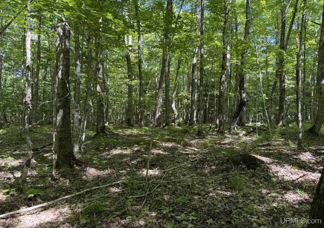 5th image of N Of 6414 H33 Rd, Gould City, MI 49838 | MLS# 50211758