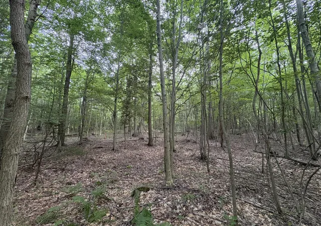1st image of 109th Ave, Pullman, MI 49450 | MLS# 70542648