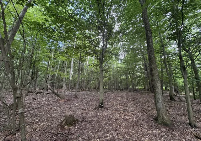 2nd image of 109th Ave, Pullman, MI 49450 | MLS# 70542648
