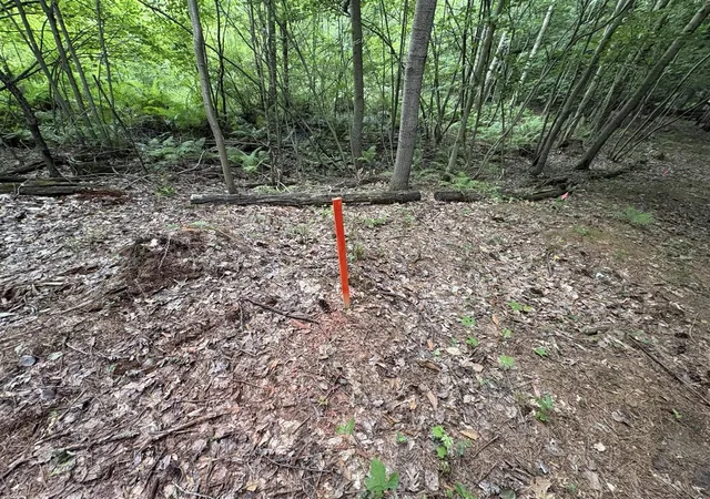 Photo 3 of Land for sale at 109th Avenue, Pullman, MI 49450 | MLS# 70542648 | Listing updated on 2026-07-08