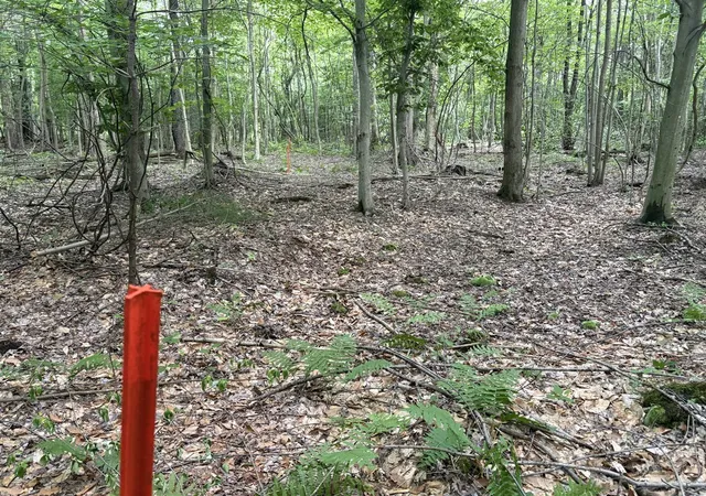 Photo 3 of Land for sale at 109th Avenue, Pullman, MI 49450 | MLS# 70542648 | Listing updated on 2026-07-08