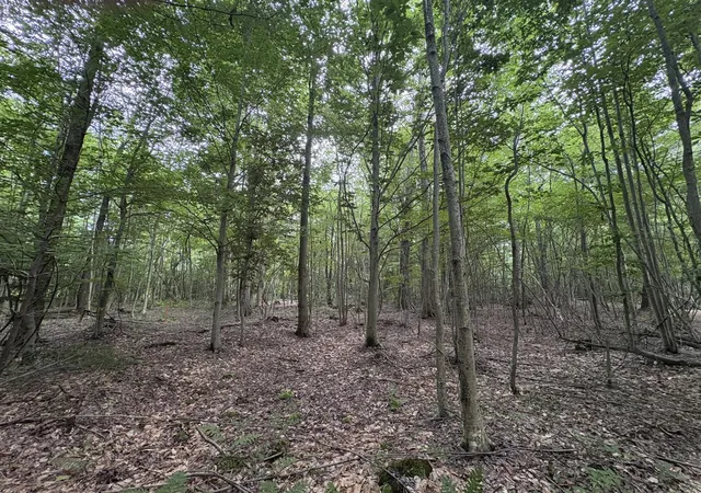 Photo 4 of Land for sale at 109th Avenue, Pullman, MI 49450 | MLS# 70542648 | Listing updated on 2026-07-08