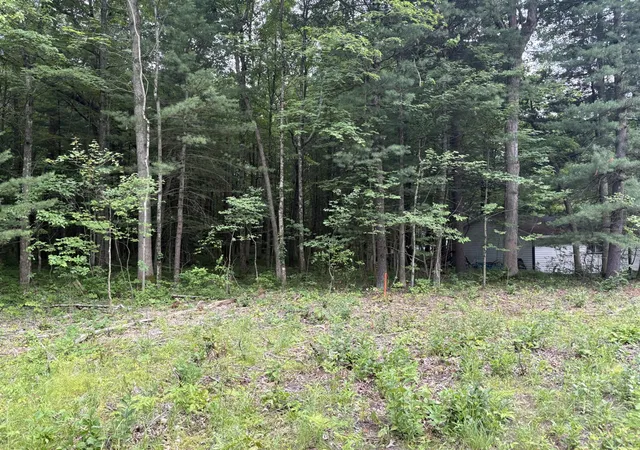 6th image of 109th Ave, Pullman, MI 49450 | MLS# 70542648
