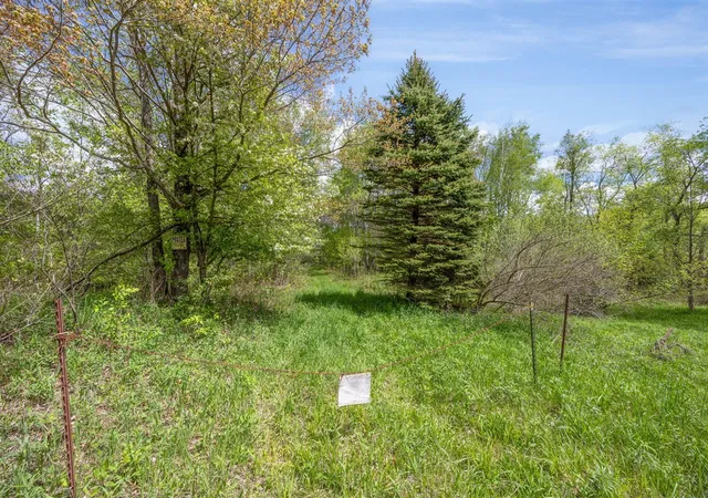 4th image of 16130 140Th Ave, Le Roy, MI 49655 | MLS# 70533578