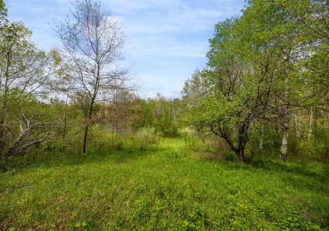 5th image of 16130 140Th Ave, Le Roy, MI 49655 | MLS# 70533578