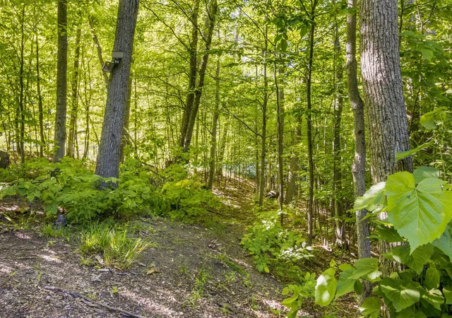 Homes for sale in Bellaire, MI | 6018 N Klaffen Strasse #Lot: 92, Bellaire, MI 49615 | MLS# 80070108