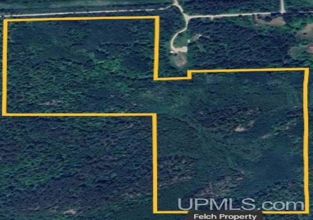 Homes for sale in Felch, MI | Tbd Old School House Rd, Felch, MI 49831 | MLS# 50211715