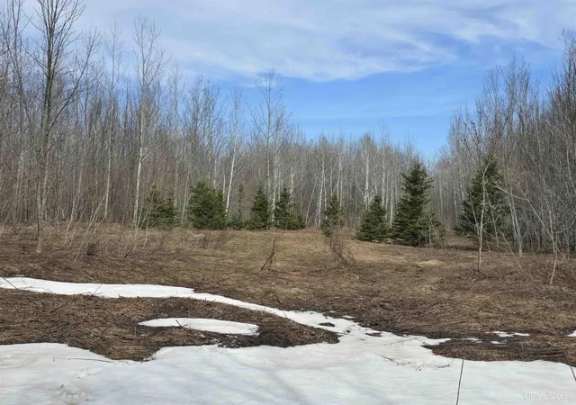 Homes for sale in Ontonagon, MI | Tbd Woodspur Rd, Ontonagon, MI 49953 | MLS# 50170882
