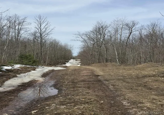 Homes for sale in Ontonagon, MI | Tbd Woodspur Rd, Ontonagon, MI 49953 | MLS# 50170882