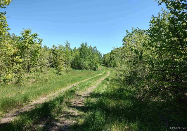 Homes for sale in Ontonagon, MI | Tbd Woodspur Rd, Ontonagon, MI 49953 | MLS# 50170882