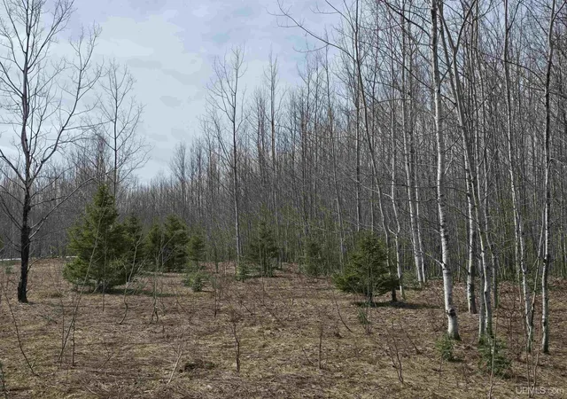 Homes for sale in Ontonagon, MI | Tbd Woodspur Rd, Ontonagon, MI 49953 | MLS# 50170882