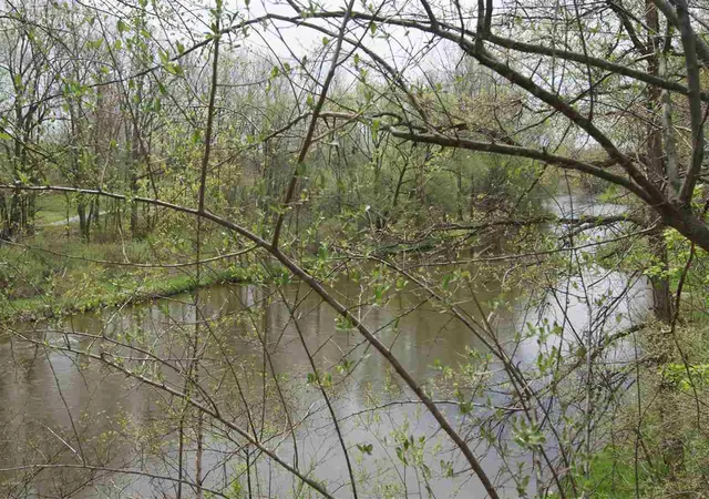 Photo 4 of Land for sale at Lot 7 Whitetail Trl, Mount Pleasant, MI 48858 | MLS# 70102580 | Listing updated on 2026-04-27