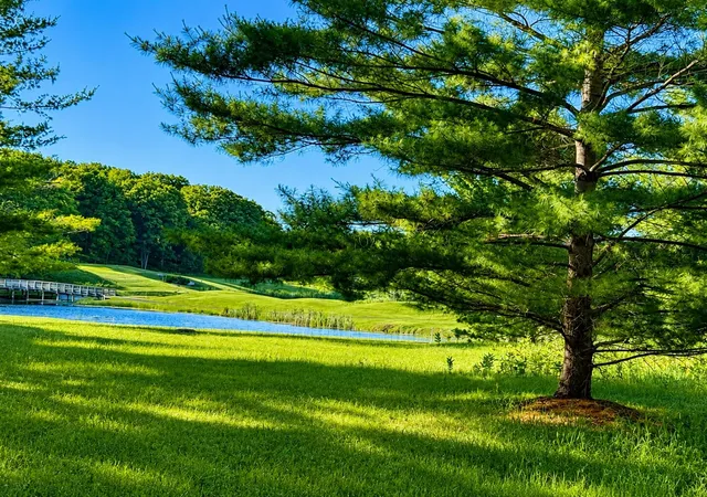Photo 1 of Land for sale at 8988 Rambling Way, Stanwood, MI 49346 | MLS# 70542096 | Listing updated on 2026-08-13