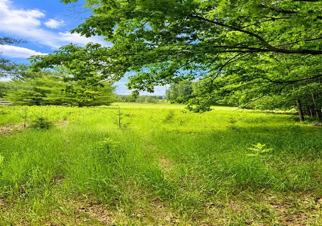 Photo 3 of Land for sale at 8988 Rambling Way, Stanwood, MI 49346 | MLS# 70542096 | Listing updated on 2026-08-13