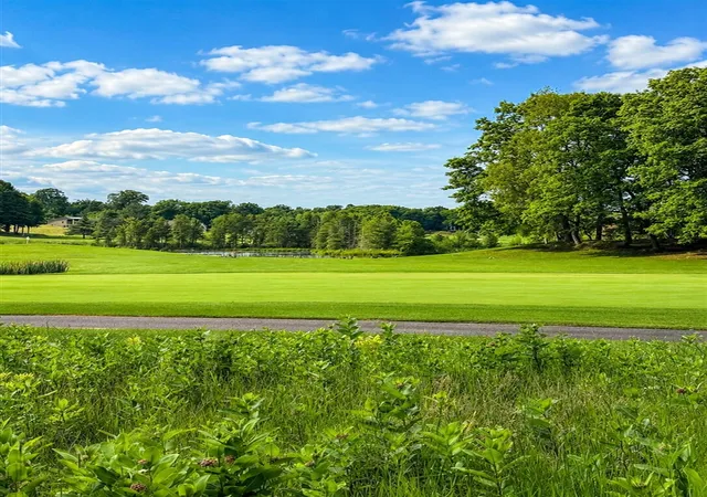 Photo 4 of Land for sale at 8988 Rambling Way, Stanwood, MI 49346 | MLS# 70542096 | Listing updated on 2026-08-13