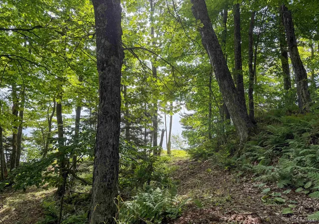 Photo 5 of Land for sale at 11367 Desrochers Rd, Baraga, MI 49908 | MLS# 50220148 | Listing updated on 2026-08-28