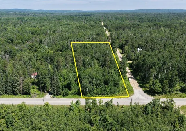 Homes for sale in Atlanta, MI | Tbd Co Rd 489, Atlanta, MI 49709 | MLS# 50213515