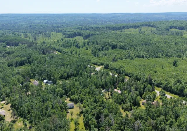 5th image of Tbd Co Rd 489, Atlanta, MI 49709 | MLS# 50213515