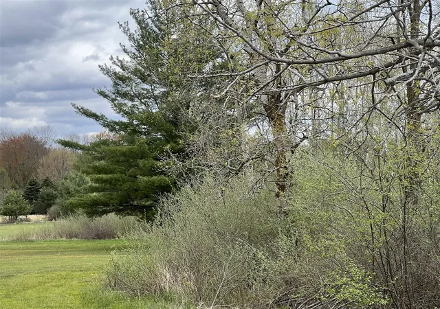 Photo 3 of Land for sale at 11148 N Satterlee Rd, Lakeview, MI 48850 | MLS# 70529945 | Listing updated on 2026-05-07