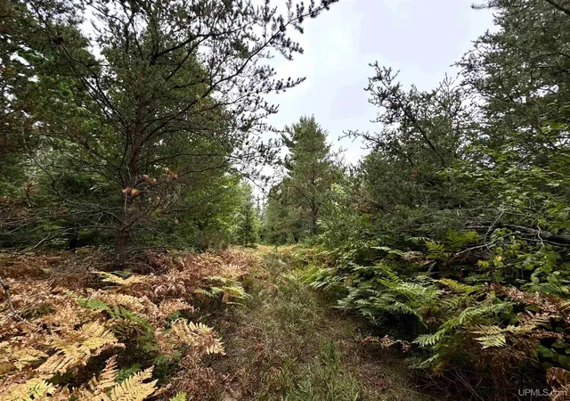 Photo 3 of Land for sale at 35 Acres Off County Rd Co, Ishpeming, MI 49849 | MLS# 50220270 | Listing updated on 2026-09-22