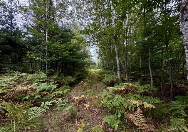 Photo 3 of Land for sale at 35 Acres Off County Rd Co, Ishpeming, MI 49849 | MLS# 50220270 | Listing updated on 2026-09-22