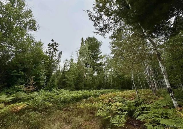 Photo 4 of Land for sale at 35 Acres Off County Rd Co, Ishpeming, MI 49849 | MLS# 50220270 | Listing updated on 2026-09-22