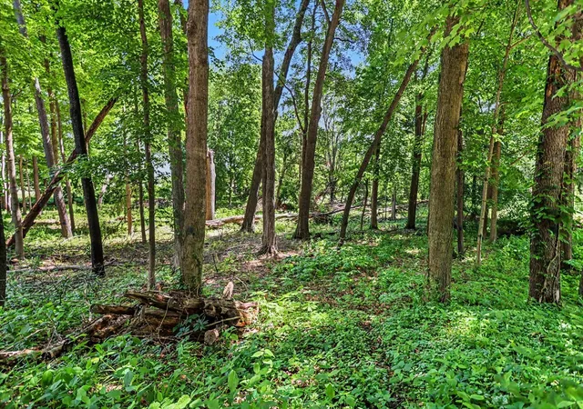 Homes for sale in Marshall, MI | 911 N Wooded Ln, Marshall, MI 49068 | MLS# 70539065