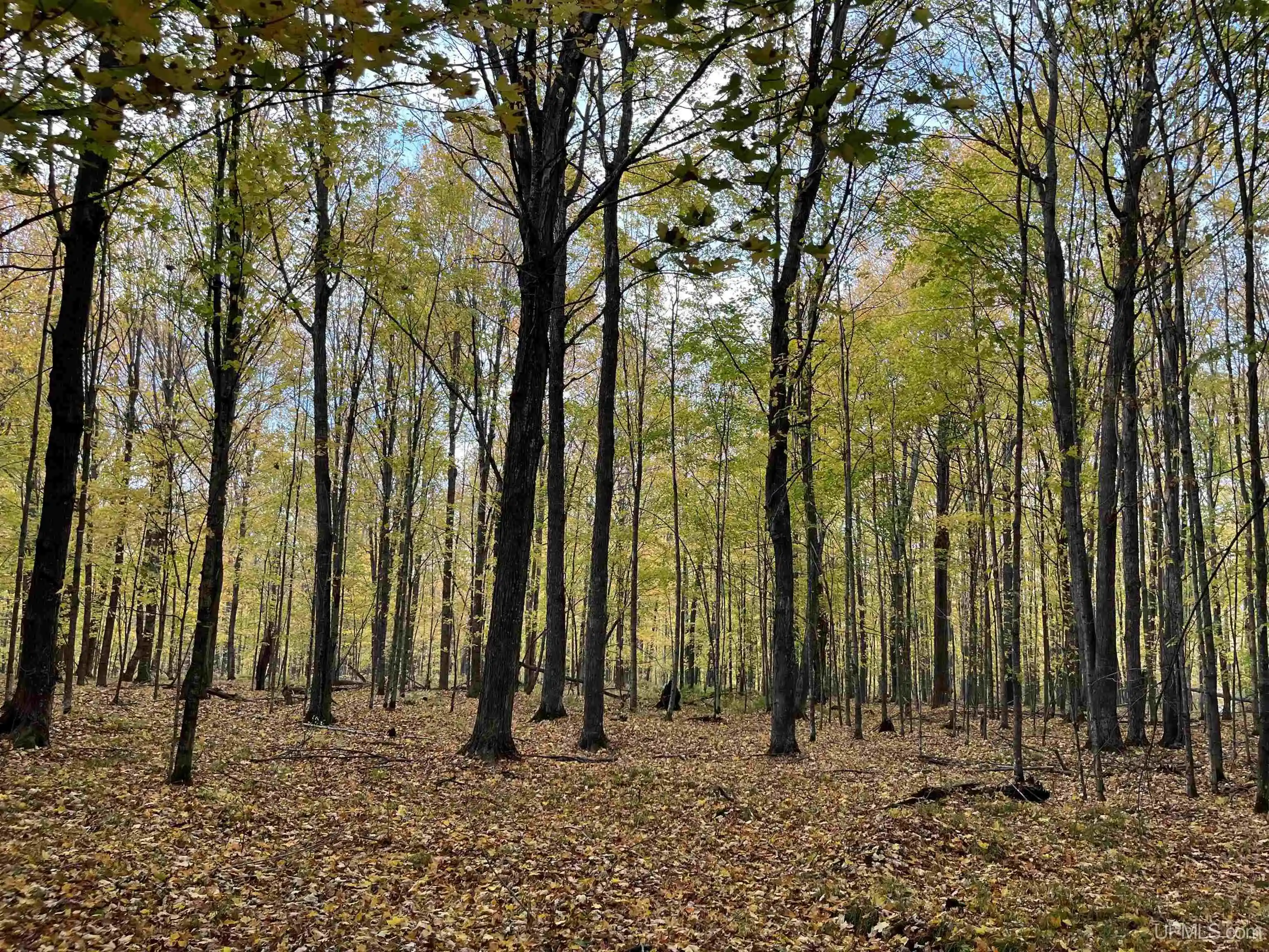 Photo 1 of Land for sale at Lot 3 Porcupine Lake Rd, Long Lake, WI 54542 | MLS# 50222752 | Listing updated on 2026-10-28