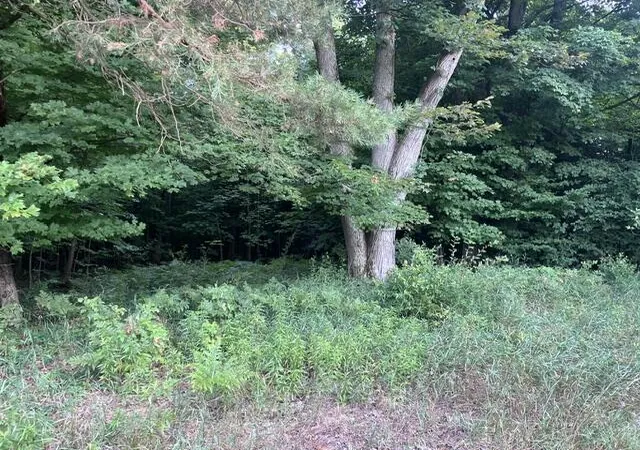 Photo 3 of Land for sale at 9 Mile Rd, Kaleva, MI 49645 | MLS# 70550005 | Listing updated on 2026-08-04