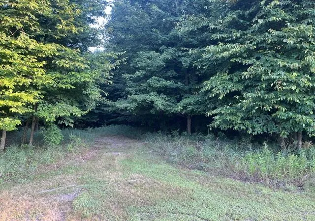 Photo 4 of Land for sale at 9 Mile Rd, Kaleva, MI 49645 | MLS# 70550005 | Listing updated on 2026-08-04