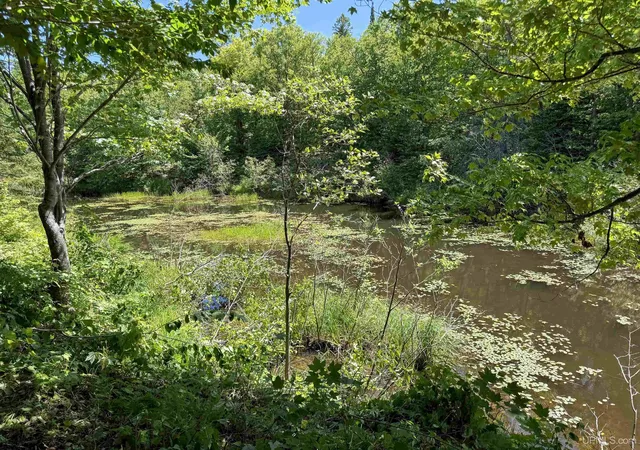 Homes for sale in Ontonagon, MI | Lot 3 E Off Hwy M 64 Hwy, Ontonagon, MI 49953 | MLS# 50212678