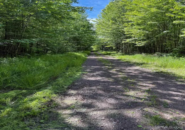 Homes for sale in Ontonagon, MI | Lot 3 E Off Hwy M 64 Hwy, Ontonagon, MI 49953 | MLS# 50212678