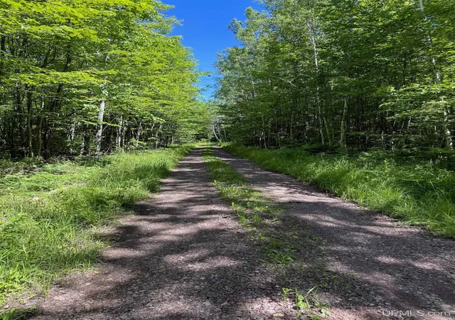 Homes for sale in Ontonagon, MI | Lot 3 E Off Hwy M-64 Hwy, Ontonagon, MI 49953 | MLS# 50212678