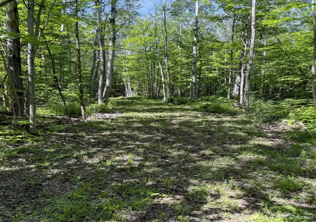 Homes for sale in Ontonagon, MI | Lot 3 E Off Hwy M-64 Hwy, Ontonagon, MI 49953 | MLS# 50212678