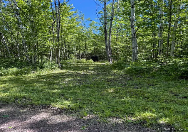 Homes for sale in Ontonagon, MI | Lot 3 E Off Hwy M-64 Hwy, Ontonagon, MI 49953 | MLS# 50212678