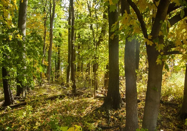 Photo 1 of Land for sale at 6862 N Nature Ln, La Porte, IN 46350 | MLS# 70547104 | Listing updated on 2026-07-21