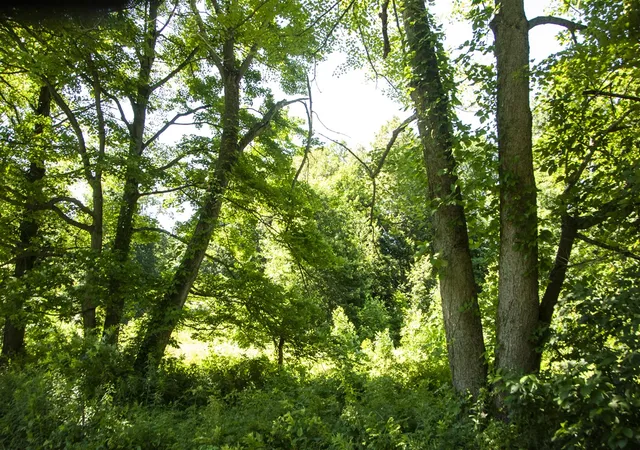 Photo 4 of Land for sale at 6862 N Nature Ln, La Porte, IN 46350 | MLS# 70547104 | Listing updated on 2026-07-21