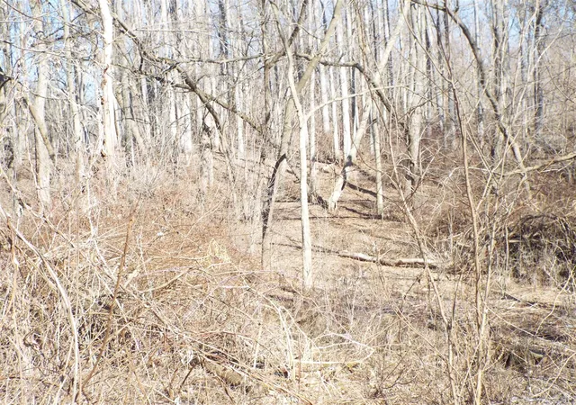 Photo 3 of Sale Pending at Vl Brills Lake Rd, Jackson, MI 49201 | MLS# 70517383 | Listing updated on 2026-03-24