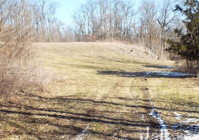 Photo 3 of Sale Pending at Vl Brills Lake Rd, Jackson, MI 49201 | MLS# 70517383 | Listing updated on 2026-03-24
