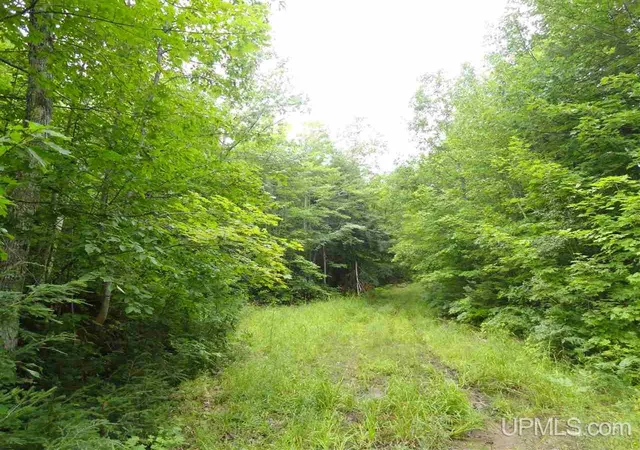 1st image of 320 Acre Off Co Rd 510 Rd, Marquette, MI 49855 | MLS# 50141224
