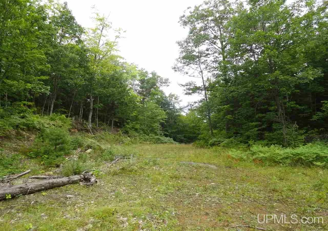 2nd image of 320 Acre Off Co Rd 510 Rd, Marquette, MI 49855 | MLS# 50141224