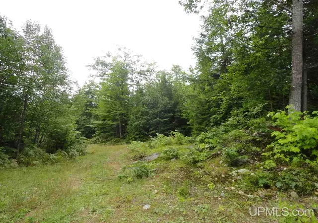 3rd image of 320 Acre Off Co Rd 510 Rd, Marquette, MI 49855 | MLS# 50141224
