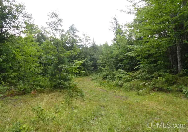 4th image of 320 Acre Off Co Rd 510 Rd, Marquette, MI 49855 | MLS# 50141224