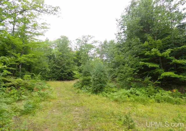 5th image of 320 Acre Off Co Rd 510 Rd, Marquette, MI 49855 | MLS# 50141224