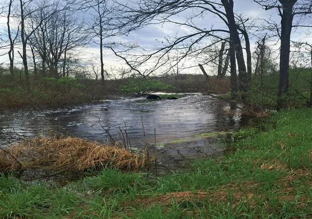5th image of 1475 W Sager Rd, Hastings, MI 49058 | MLS# 70551931